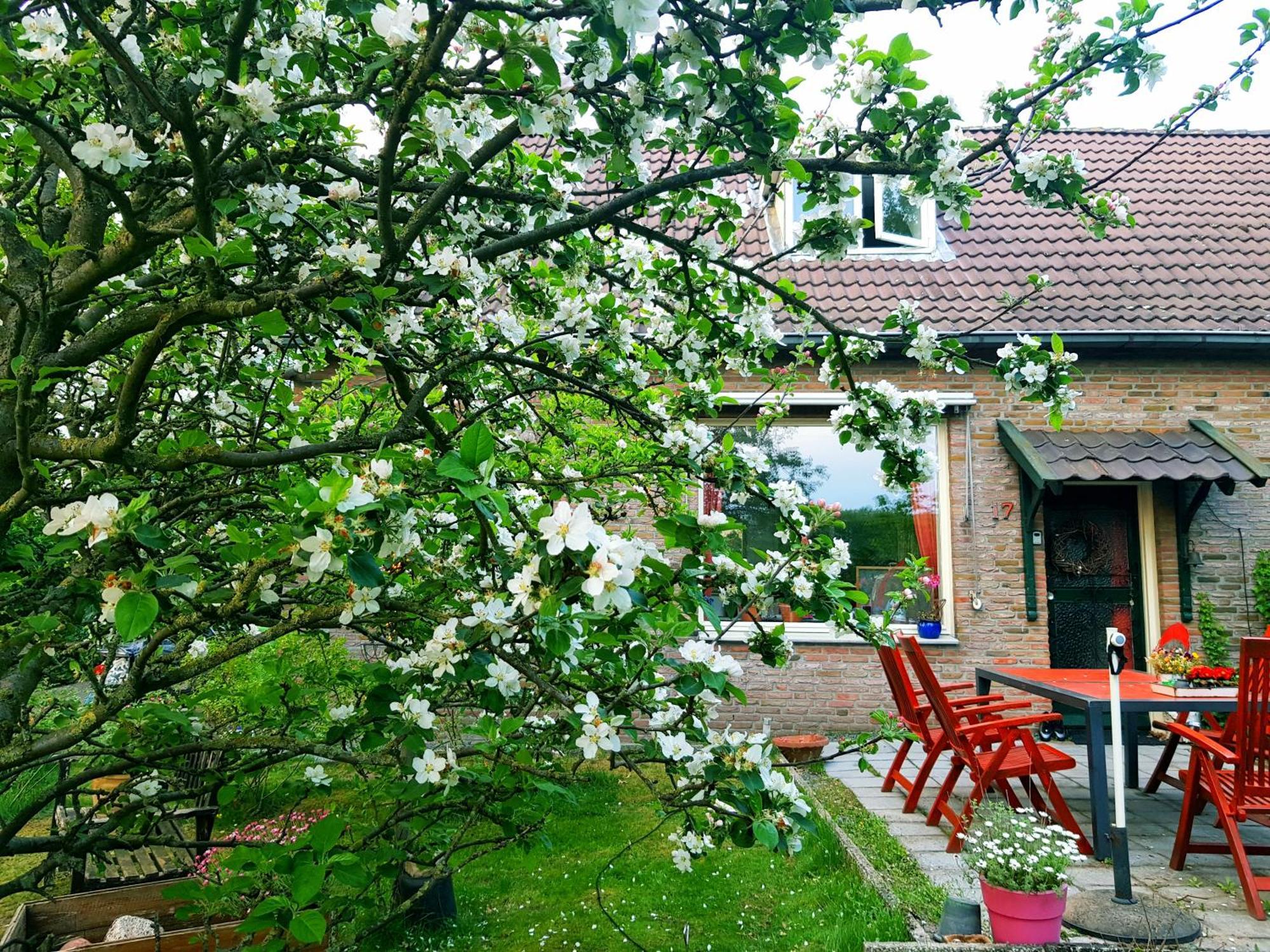 huisjeaandedinkel Overdinkel Buitenkant foto